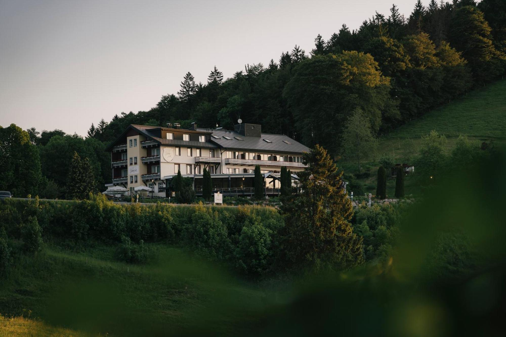 Berghotel Wiedener Eck المظهر الخارجي الصورة